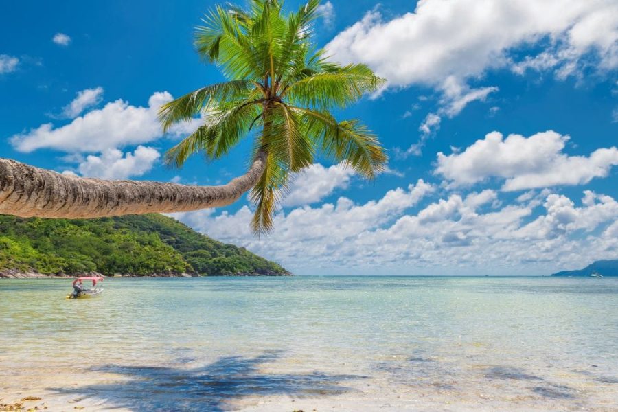 Goa