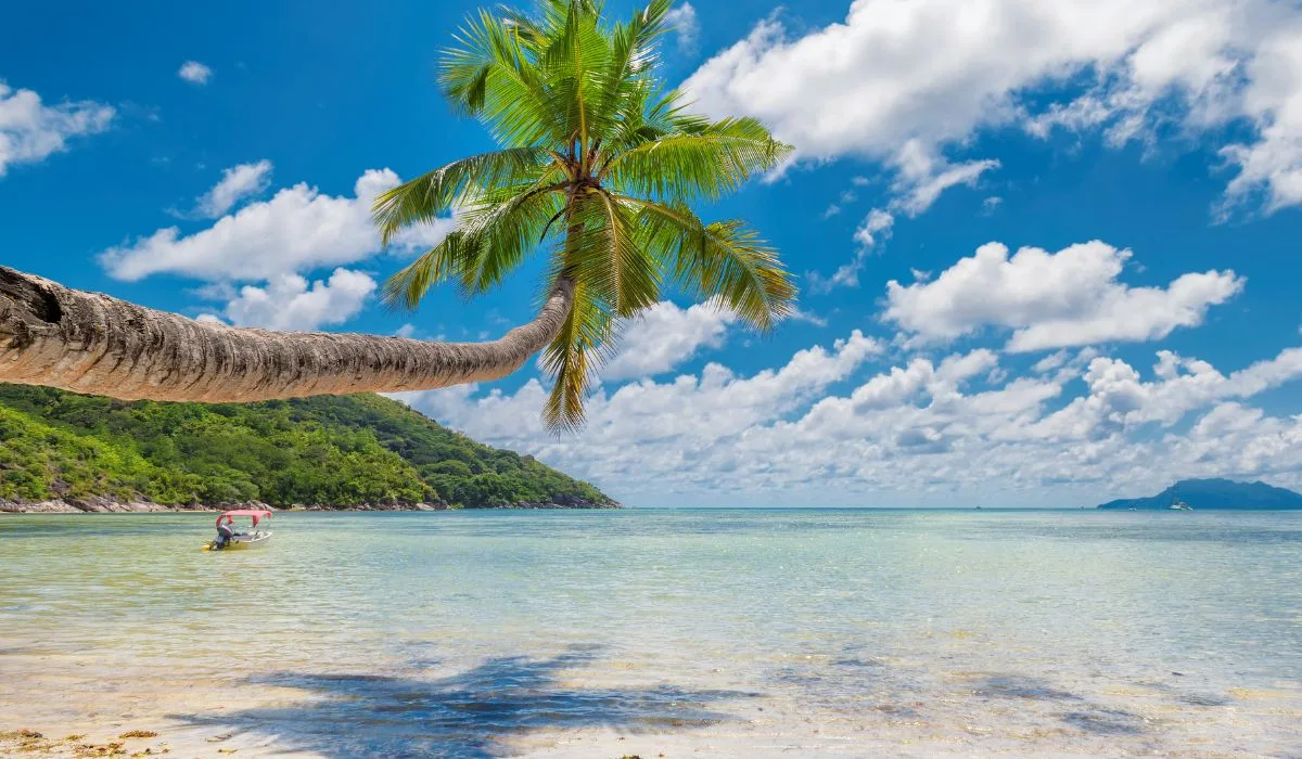 Goa