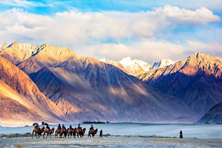 Landscape of sand dunes at Nubra Valley, Ladakh