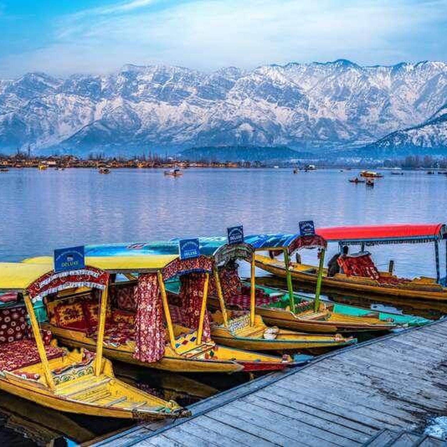 Shikara Ride in Dal Lake kashmir
