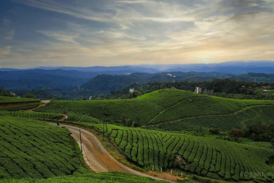 Munnar Kerala Tour