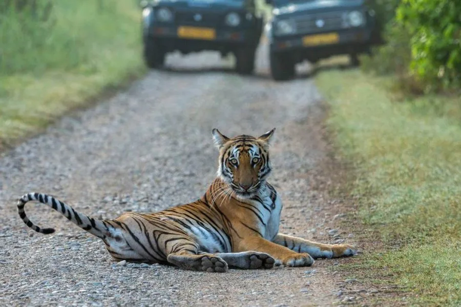 jim-corbett-nainital
