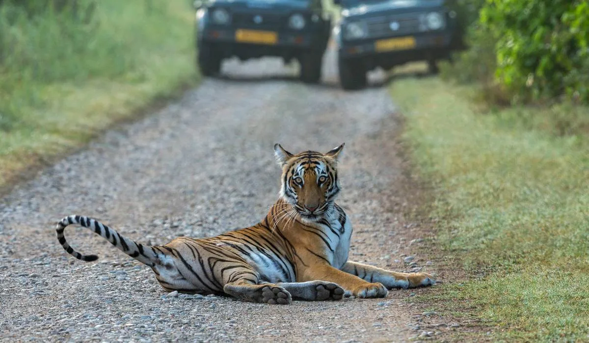 jim-corbett-nainital