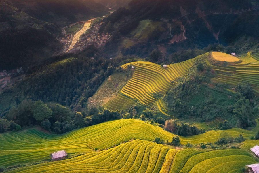 The vertical aerial view of step rice field terrace at mountain hill during sunset