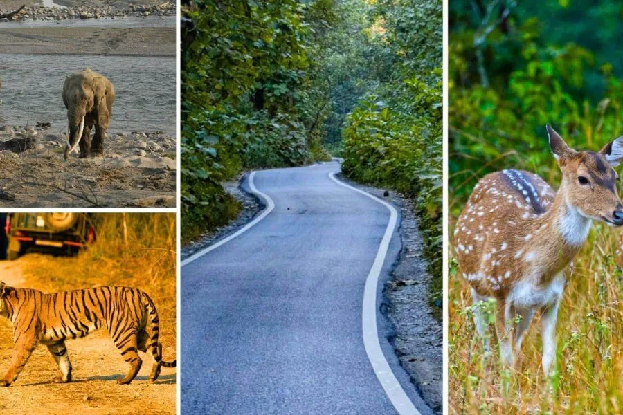 Uttarakhand Nainital-Corbett