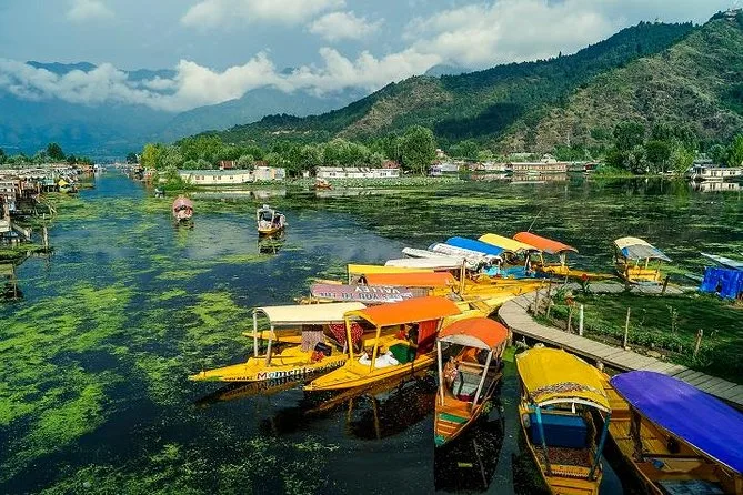 Kashmir